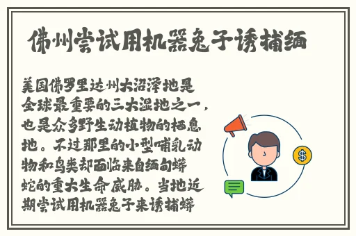 单人版可插可脱身服全去掉的游戏